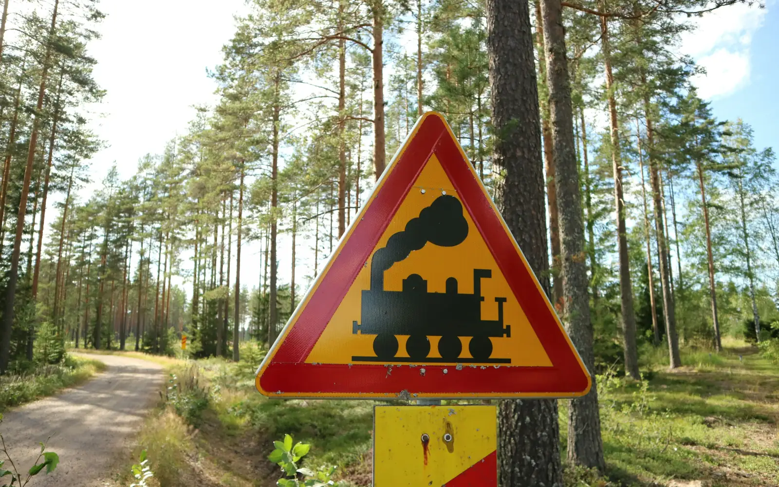 Tasoristeyksen varoitusmerkki metsätien varrella
